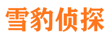 安康市私家侦探